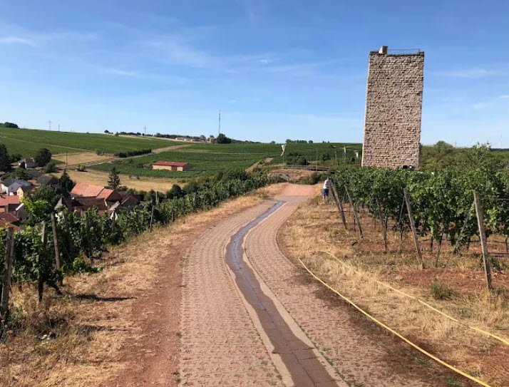 Schloßturm Schwabsburg, Nierstein, Germany, Germany